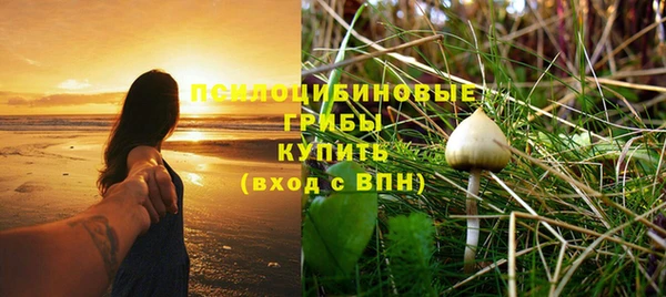ALPHA-PVP Вяземский