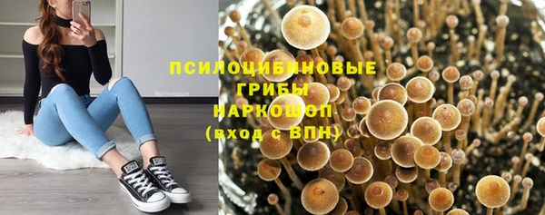 spice Вязьма