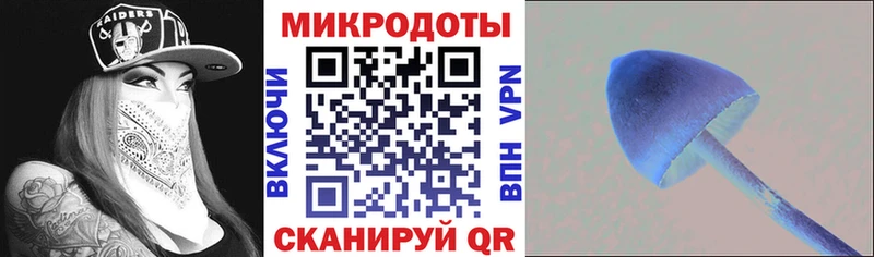 Псилоцибиновые грибы Psilocybine cubensis  Купить закладки  Удомля 